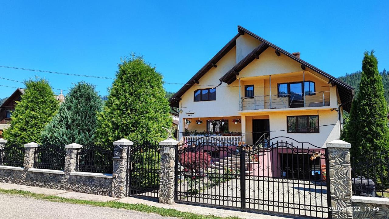 Dariamaf Apartment Campulung Moldovenesc Ngoại thất bức ảnh